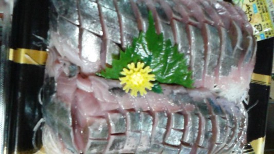 DVC00001.JPG