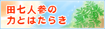 田七人参の力とはたらき