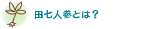 田七人参とは？