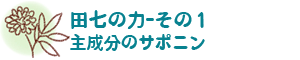 田七の力-その１　主成分のサポニン