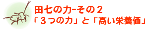 田七の力-その２　「３つの力」と「高い栄養価」