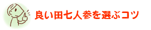 良い田七人参を選ぶコツ