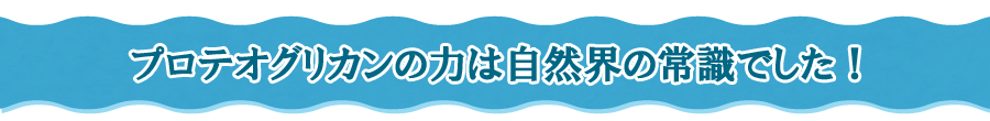 プロテオグリカンの力は自然界の常識でした！