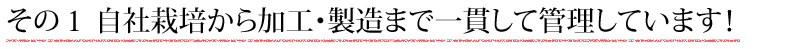 その１　自社栽培から加工・製造まで一貫して管理しています！