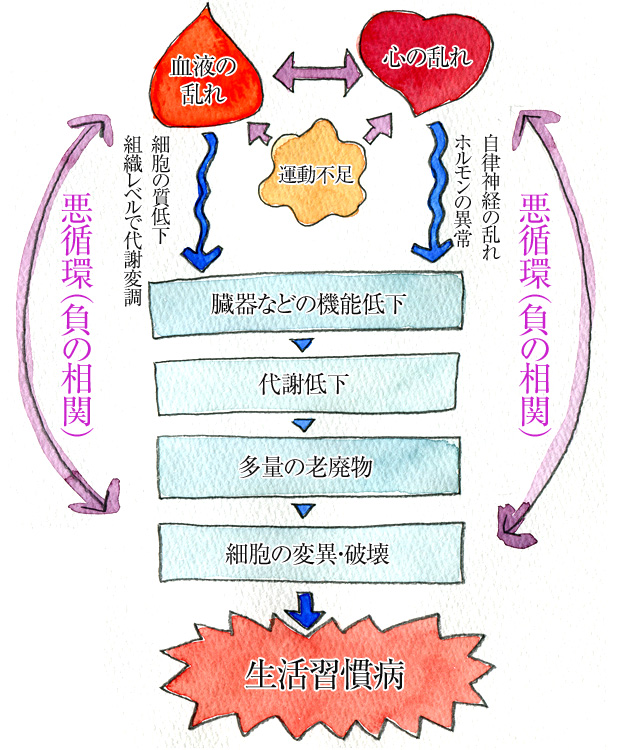 図版・生活習慣病の原因