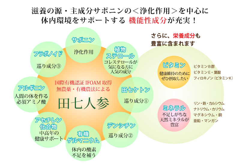 田七人参に含まれる栄養素