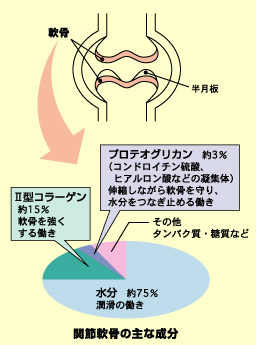 コラーゲン