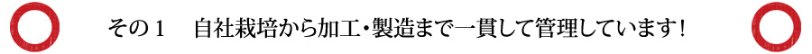 その１　自社栽培から加工・製造まで一貫して管理しています！