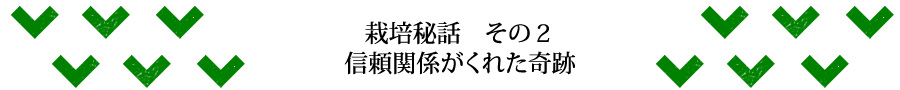 栽培秘話　その２　信頼関係がくれた奇跡