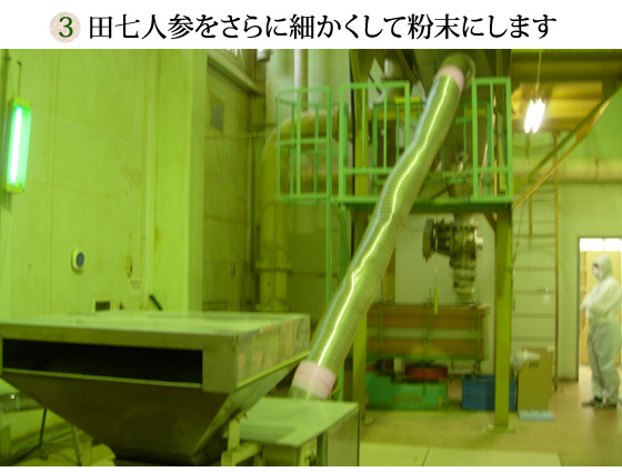 「白井田七。」ができるまで/田七人参をさらに細かくして粉末にします