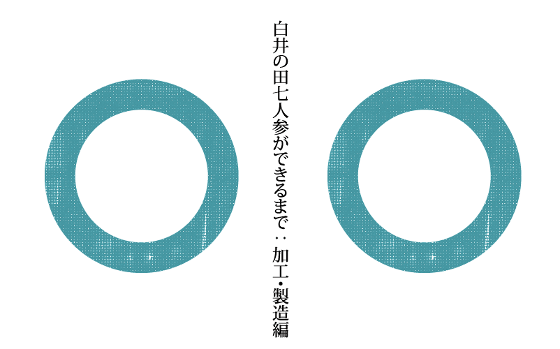白井の田七人参ができるまで:加工・製造編